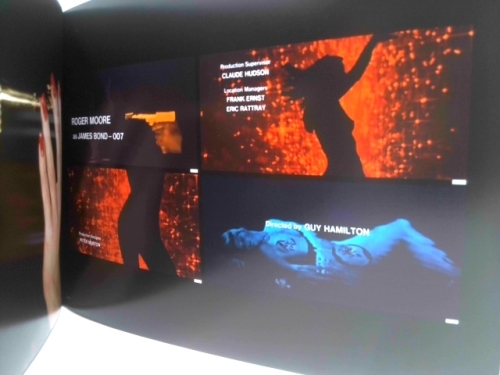 Actual Product Display 2