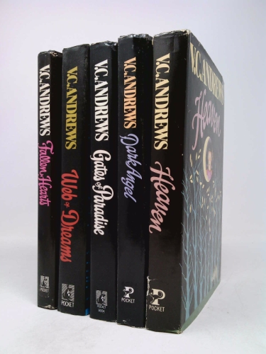 Casteels Family Series, 5 Volume Set, Fallen Hearts, Web of Dreams, Gates of Paradise, Dark Angel and Heaven