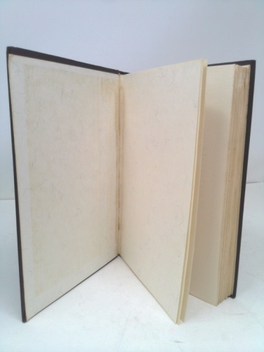 Actual Product Display 3