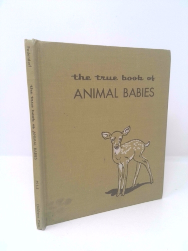 The true book of animal babies