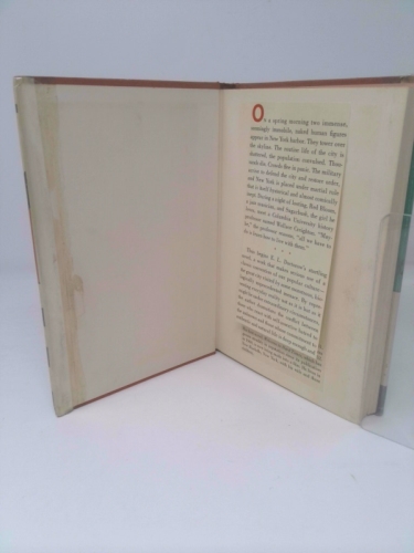 Actual Product Display 4