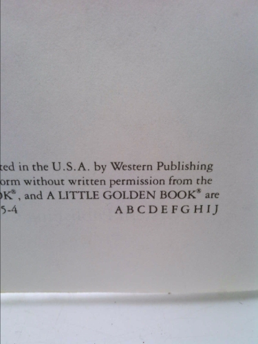 Actual Product Display 4